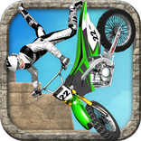 Temple Bike