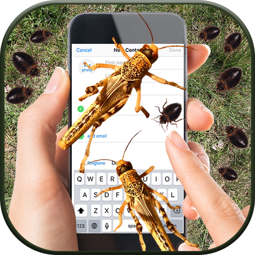 昆蟲 背景 動畫 笑話: 搞笑 動態 圖片 手機 屏幕上