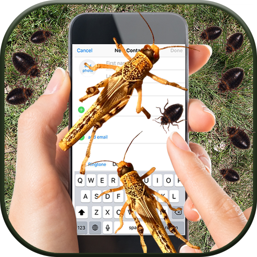 Insekt im Bildschirm: Gif Bilder App