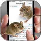 Maus im Bildschirm: Gif Bilder App Zeichen