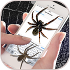 تطبيق عنكبوت على شاشة هاتف الأندرويد أيقونة
