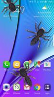 Spider on Screen – Funny Prank App Affiche