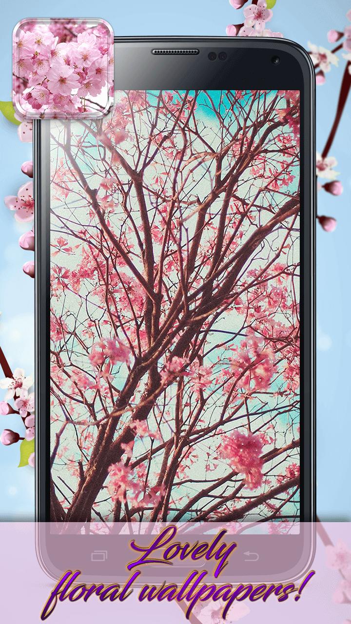 Bunga Sakura Tema Dan Wallpaper Hidup For Android APK Download