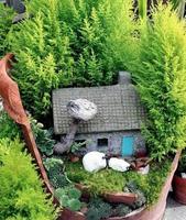 Fairy Garden Ideas bài đăng