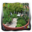 Fairy Garden