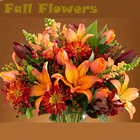 Fall Flowers Ideas icône