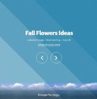 Fall Flowers Ideas Affiche