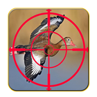 صيد الطيور-icoon