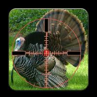 صيد الديك الرومى-Turkey Hunter capture d'écran 1