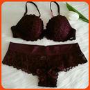 Fashion Bra and Panty APK