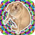 Narcotic Dog