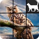 Animal Slide Puzzle aplikacja