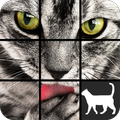 Cat Slide Puzzle