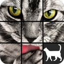 Cat Slide Puzzle APK