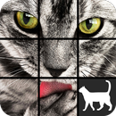 Cat Slide Puzzle aplikacja