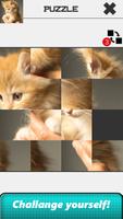 Cat Slide Puzzle syot layar 3