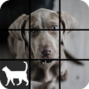 Dog Slide Puzzle APK