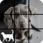 Dog Slide Puzzle ikon