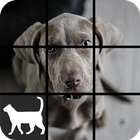 آیکون‌ Dog Slide Puzzle