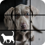 Dog Slide Puzzle आइकन