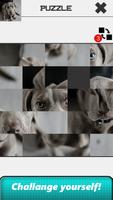 Dog Slide Puzzle 스크린샷 3