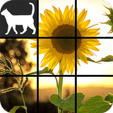 Flower Slide Puzzle icon
