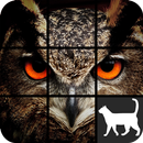 Owl Slide Puzzle APK