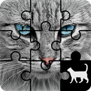 APK Cat Jigsaw Puzzle