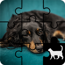 Dog Jigsaw Puzzle APK