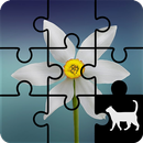 Flower Jigsaw Puzzle aplikacja