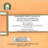 Fatwa regarding Hajj and Umra imagem de tela 1