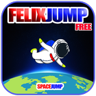 Felix Baumgartner - Jump Space icon