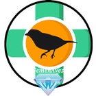 Canto de Passaro Terapia icon