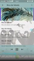 Canto Fêmea Bico de Veludo ảnh chụp màn hình 3