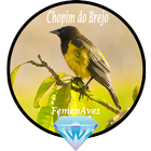 Canto Fêmea Chopim do Brejo Zeichen