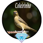 Canto Fêmea de Coleirinho Zeichen