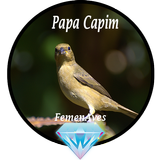 Canto Fêmea de Papa Capim biểu tượng