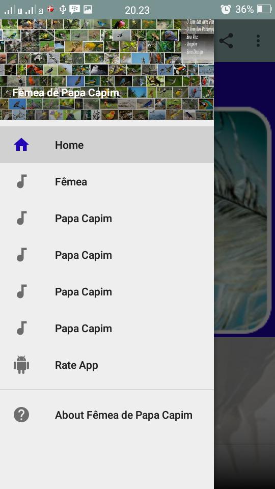 Fêmea de Papa Capim APK برای دانلود اندروید