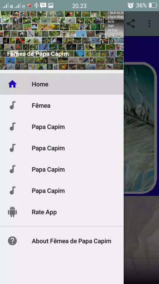 Fêmea de Papa Capim Chamando – Apps on Google Play