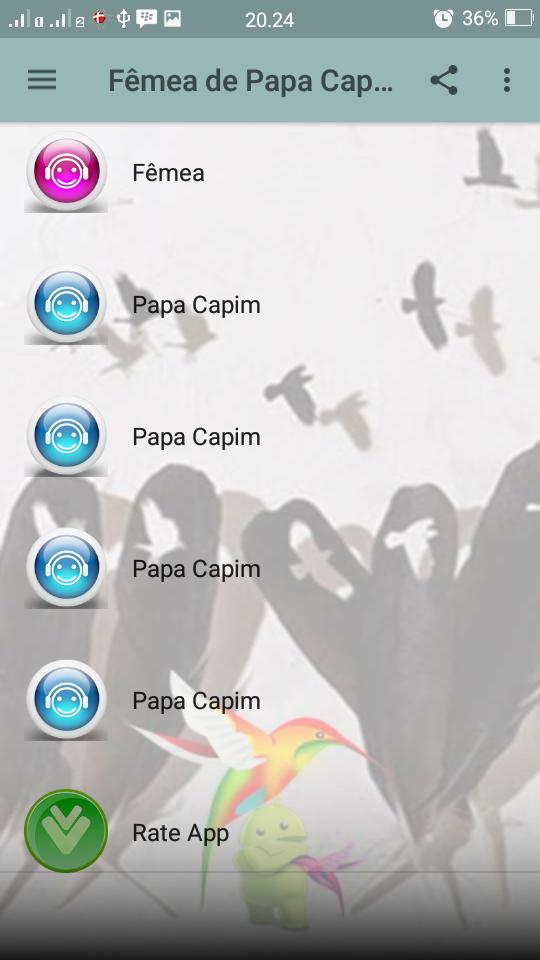 Fêmea de Papa Capim APK برای دانلود اندروید