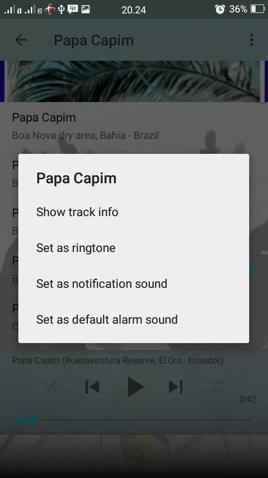 Canto Fêmea de Papa Capim APK 19.0 for Android – Download Canto