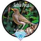 Canto Fêmea de Sabiá Poca biểu tượng