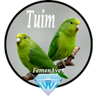 Canto Fêmea de Tuim biểu tượng