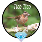 Canto Fêmea de Tico Tico biểu tượng
