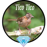 Canto Fêmea de Tico Tico biểu tượng