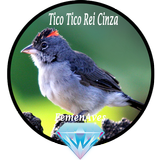 Canto Fêmea de Tico Tico Rei C biểu tượng