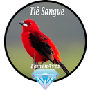 Canto Fêmea de Tiê Sangue APK
