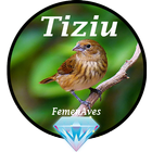 Canto Fêmea de Tiziu آئیکن