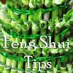 Feng Shui Tips For Business