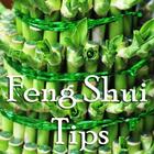 Feng Shui Tips For Business icon